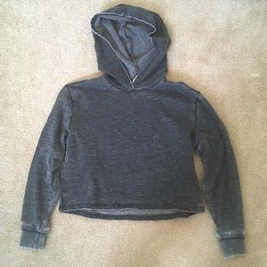 Alternative Apparel Cropped Hoodie